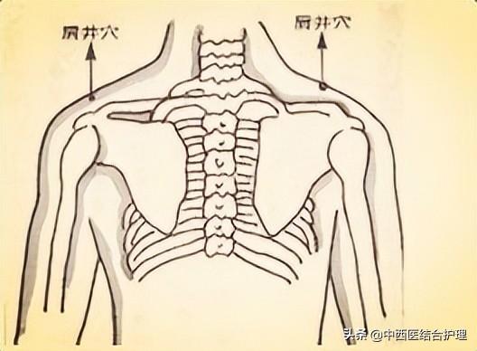 「中医穴位养生」中医不是“慢郎中”，这些穴位很快解决病痛