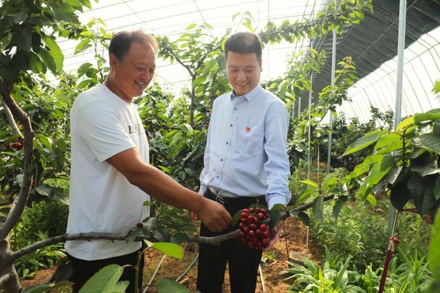 “金融引擎”助力农业产业发展