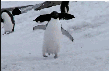 新加坡连续涨价10个月！网友：吃不起菜，买不起房......