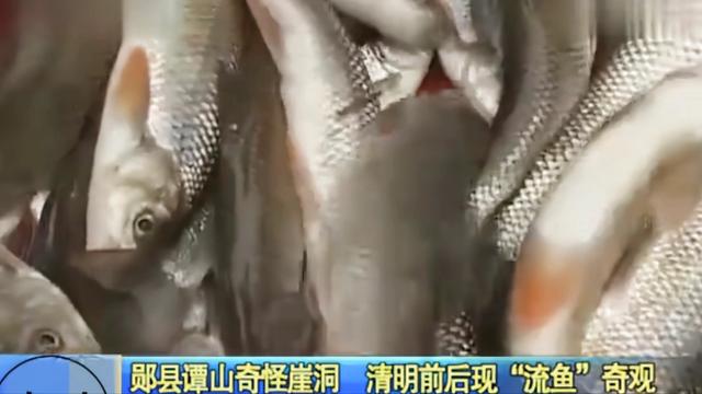 https://blog.sina.com.cn/s/blog_a654dd600102z15b.html