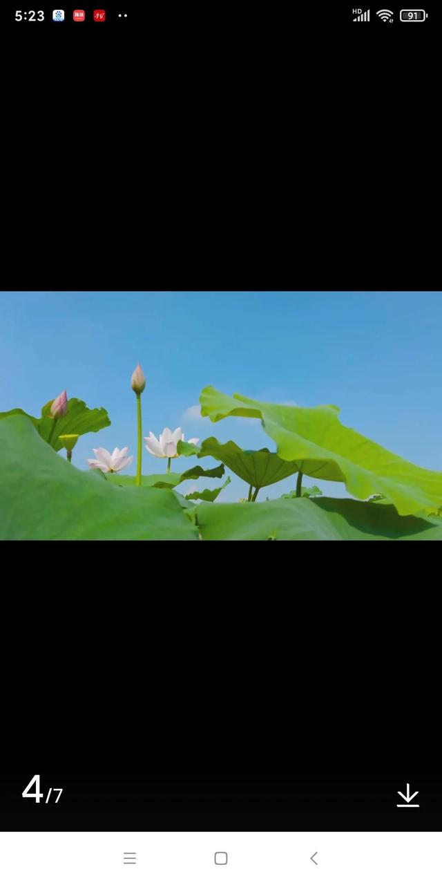 今天立夏日