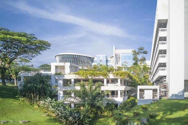 南洋理工大学研究生一年费用(南洋理工大学研究生一年费用多少)