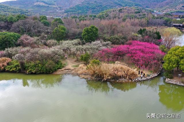 阳明温泉山庄