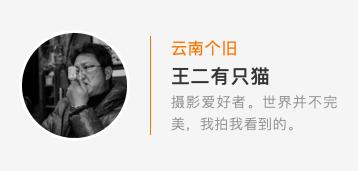 2020第七届苍南矿山机械展