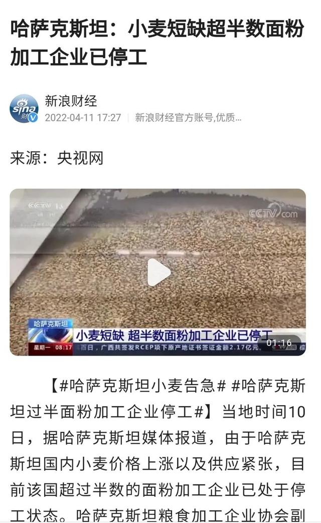 小麦青储疑云，把没熟的麦子割了怎么可能更赚钱？