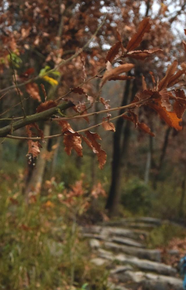 貴州金沙，踏紅軍足迹，觀古道山水，進溶洞探險
