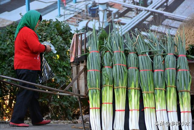 不施化肥、不打农药，如何种菜？老农教你一招，蔬菜高产、口感好3