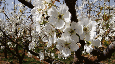 400_225gif 动态图 动图