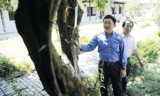 孙立人被软禁33年，一家靠卖果为生，4个子女后来过得怎样了？