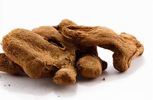 马姜的功效与作用图片马博士聊本草女科要药六姜的故事神奇的姜