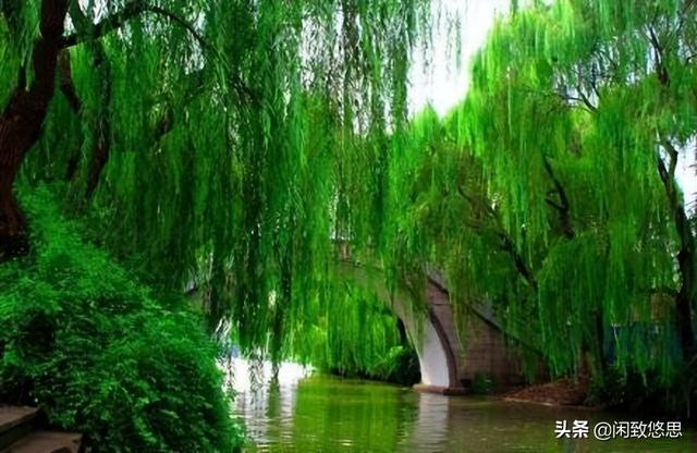 伫立在春天最后一个节气的路口，收获美景，收获快乐