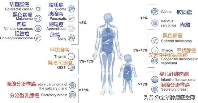 中国获批！针对17种癌症有效的“传奇”抗癌药拉罗替尼震撼上市