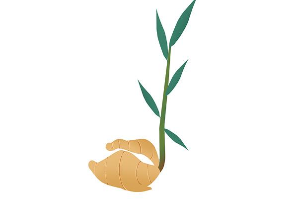 “四季吃生姜，百病一扫光”，吃姜去皮好还是带皮好？尽量别吃错