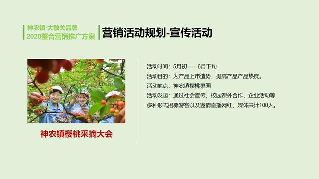 农业品牌营销顶层设计案例——陕西某镇农业公共品牌策划案