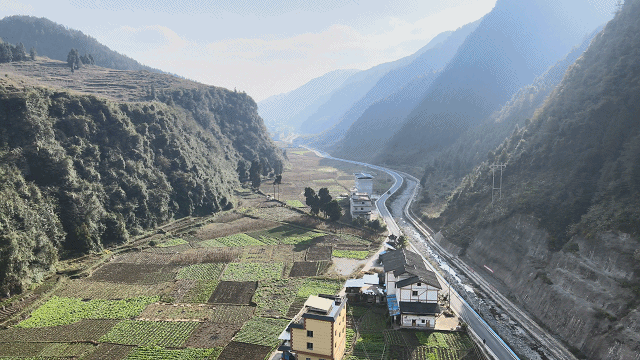 遵义大型木材破碎机