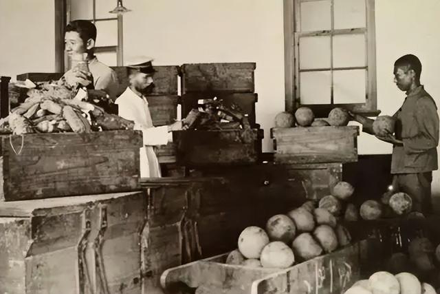 1956年，东北老汉放牛时发现日军宝藏，日本人得知后要求立马归还