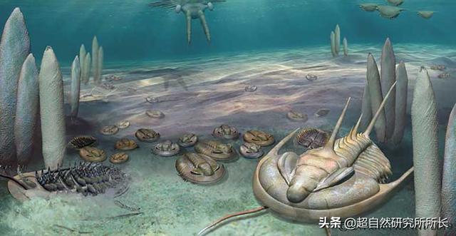 如果把地球的一生浓缩成一天，会发生什么？超出你想象的地球故事