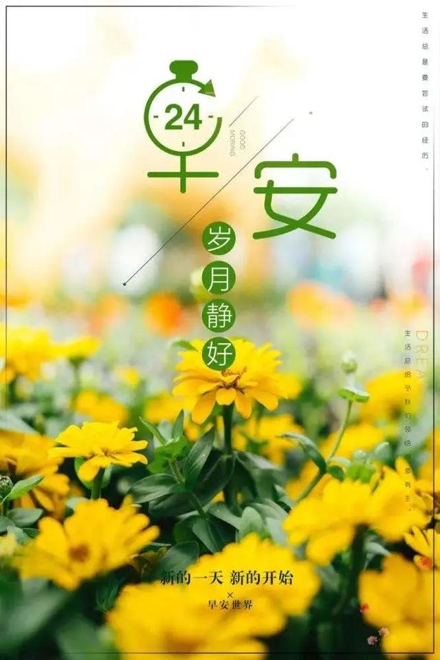 「2022.05.15」早安心语，正能量经典唯美语句，经典励志早安图文