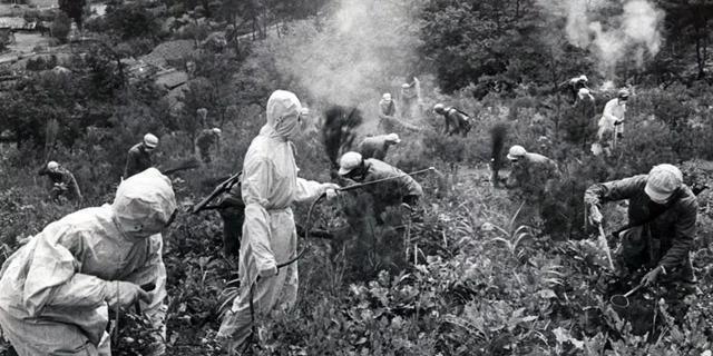 美国史上两次使用生化武器，志愿军伤亡惨重，更是越南至今的噩梦
