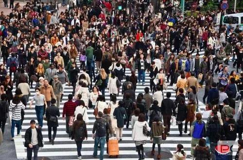 思考：只是因为经济压力大了么？马斯克就日本人口下降发出警告