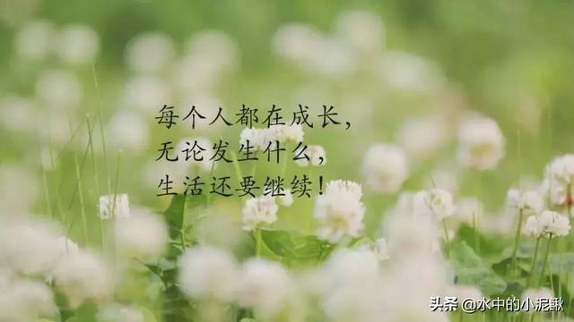 早安正能量励志语录，最新早安语录句子，新的开始