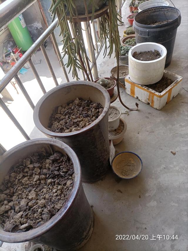 生活随笔记