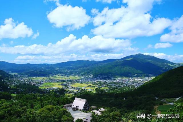 想回农村发展什么项目好（回农村发展怎么样）