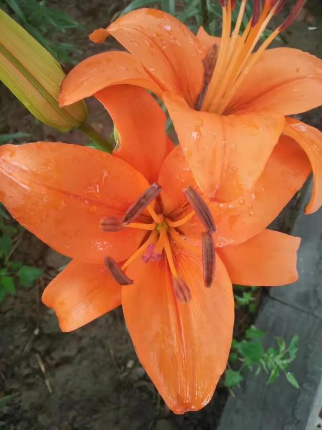 文章图片6