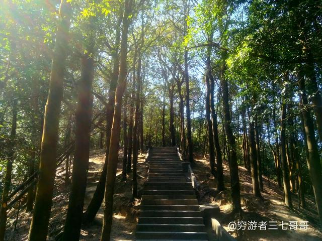深圳8個免費旅行景點，你去過幾個？