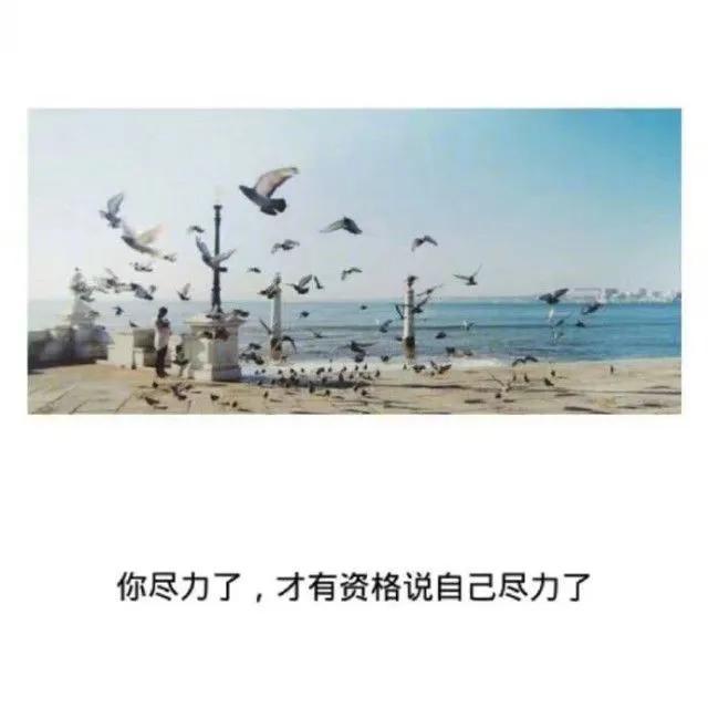 你不懂，是因为你没经历，傻孩子，该靠自己…