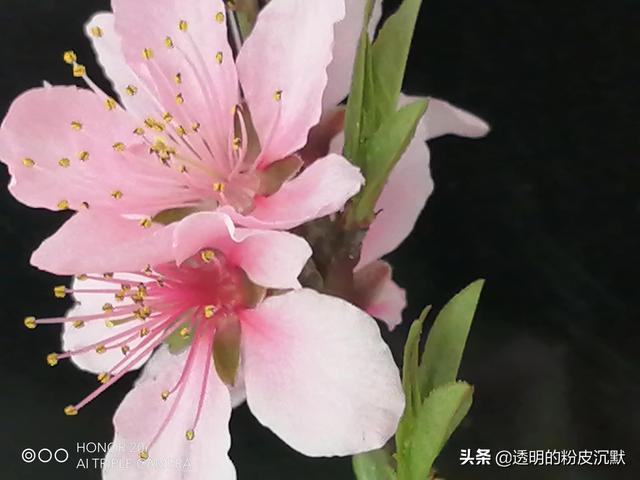 [云中君消息自动回复]，微信中手机联系人找不到