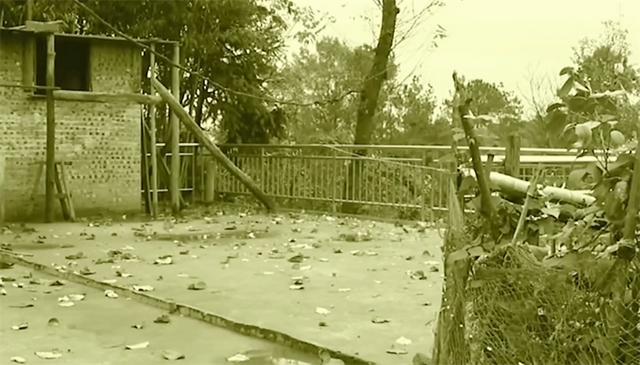 2014年，85岁母亲被儿子拒之门外，哀鸣一夜后惨死，遗体无人收
