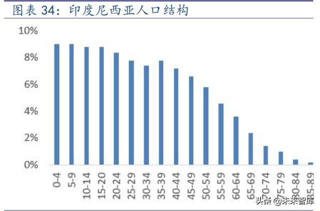 海外互联网行业TikTok专题报告：展望未来，机遇与挑战并存