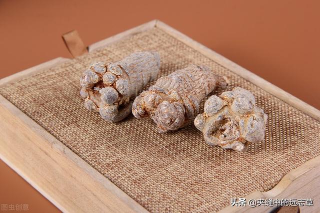 讲一味三七，细数其6大功效，4个细节，原来贵有贵的道理