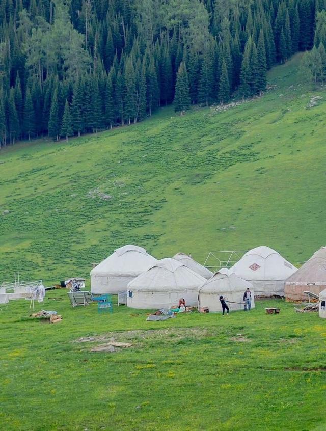 [万福云关键词自动回复]，微信打字出现的小动物有哪些