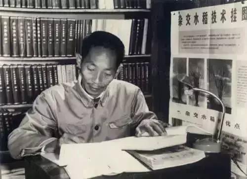 为什么诺贝尔奖这么多年未提名袁隆平？成果造福世界，却败给现实