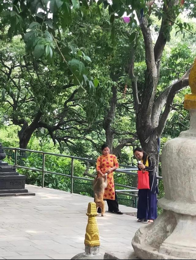第二天逛加德滿都的猴廟--尼泊爾遊記（二）