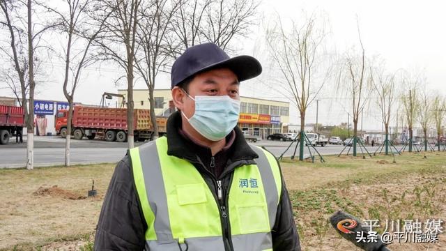 平川区：“国储林+绿色通道”厚植生态底色 扮靓城乡街景
