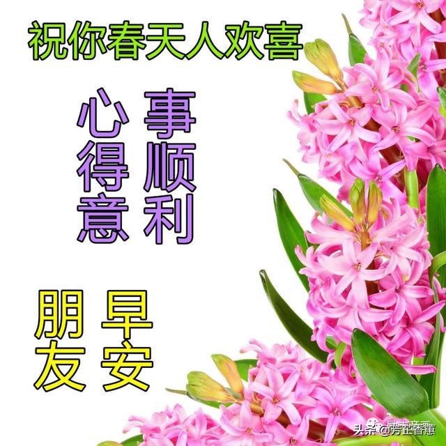 愿苍天保佑，人间无险，病毒早散，你我平安