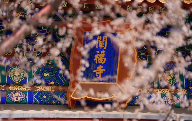 頤和園曾是關押太監的，天壇的草藥很出名……這些園林轶事很有趣