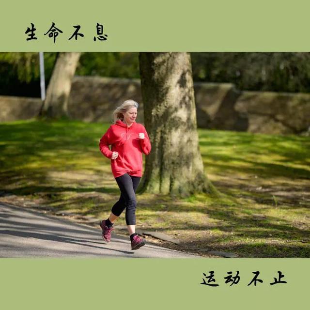 不上学了干什么好(女孩子不上学了干什么好)