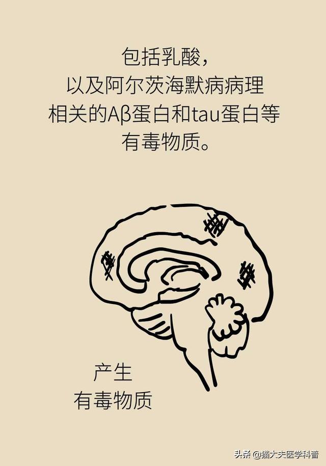 睡眠日丨睡不好的后果远比你想得更严重，你可能会变傻