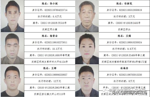 曝光! 武都区法院公布2022年第一批失信被执行人名单（172人）