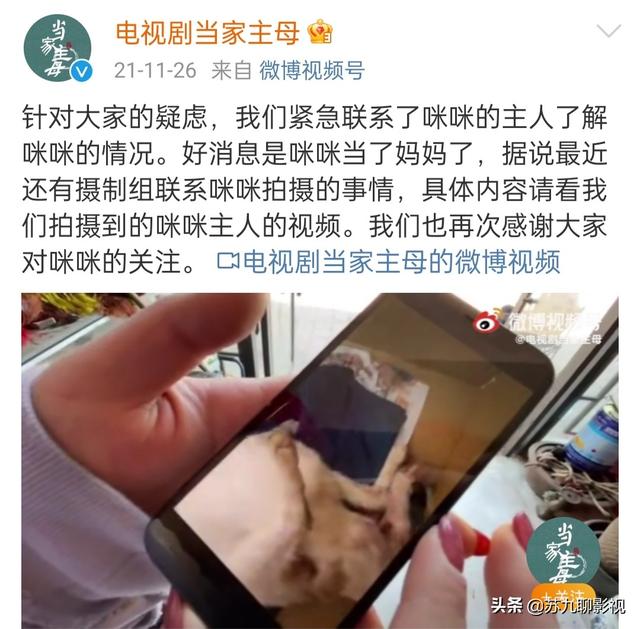 官媒点评《且试天下》剧组虐马事件，另外两部剧的求生欲堪称典范