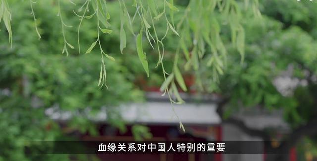家用破碎机样品价格