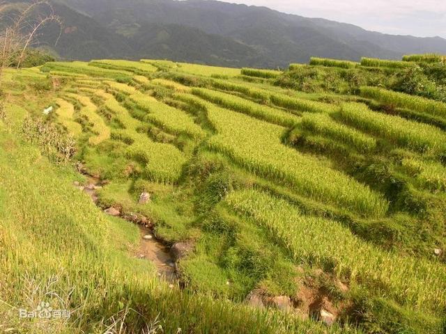 四川小型破碎机价格表的简单介绍
