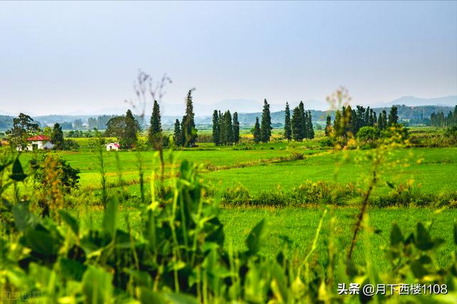 哪个省人最丑男人五官好看，哪个省人最丑十大排名
