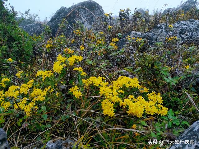 攀登昆明的昆侖山-梁王山，可遠觀滇池、撫仙湖、陽宗海、星雲湖