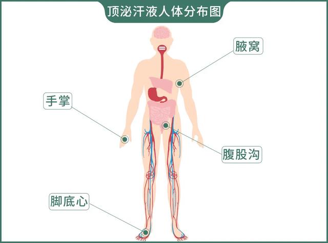 臭宝是什么意思