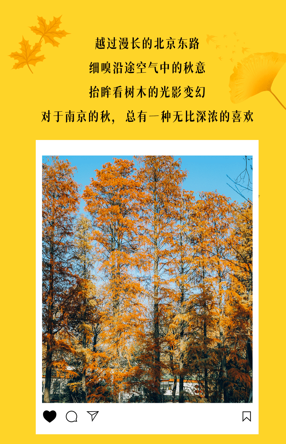 北京東路，喜提秋天